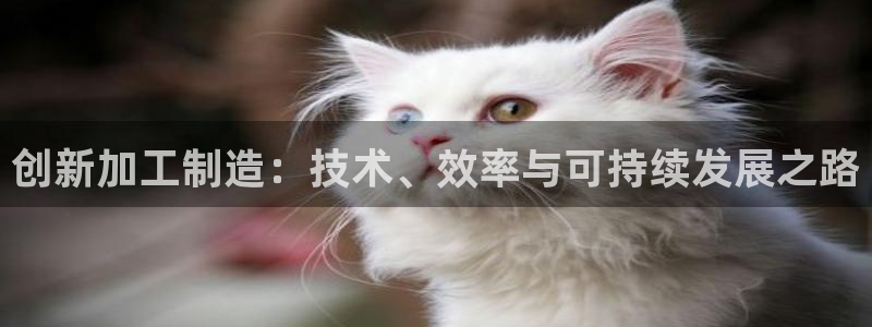 谈球吧全站app下载