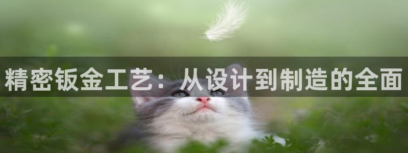 谈球吧体育综合台