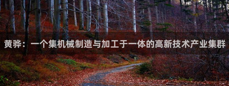 谈球吧中国