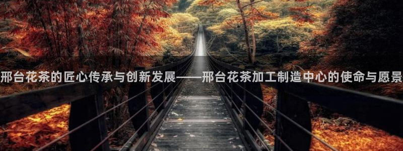 谈球吧体育app下载中心官方网站