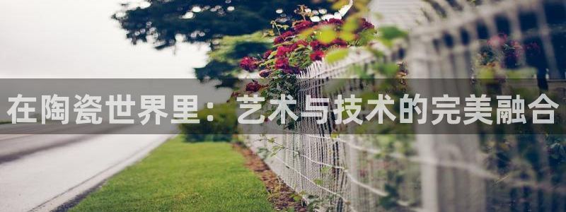 谈球吧咋样黑钱