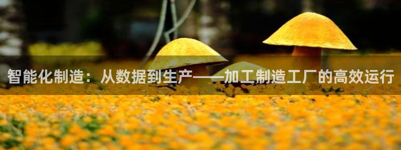 谈球吧官网在线入口免费观看高清视频
